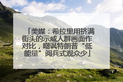 美媒：希拉里用挤满街头的示威人群画面作对比，嘲讽特朗普“低能量”阅兵式观众少