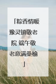 粽香情暖豫灵镇敬老院 端午敬老意满桑榆