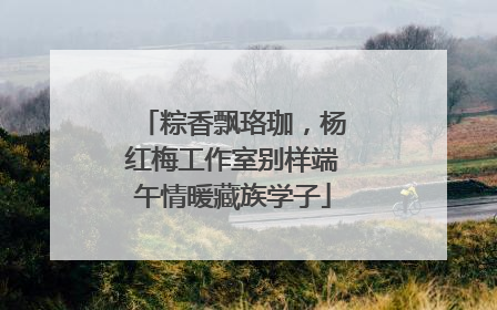 粽香飘珞珈，杨红梅工作室别样端午情暖藏族学子