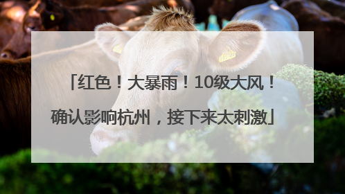 红色！大暴雨！10级大风！确认影响杭州，接下来太刺激
