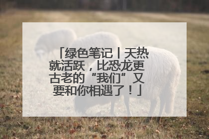 绿色笔记丨天热就活跃，比恐龙更古老的“我们”又要和你相遇了！
