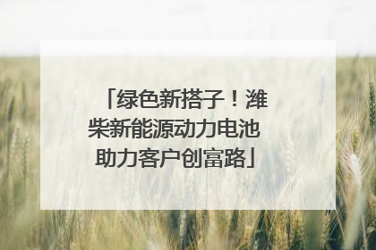 绿色新搭子！潍柴新能源动力电池助力客户创富路