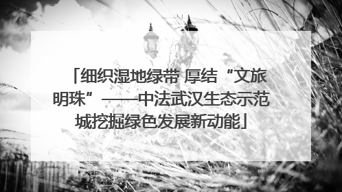 细织湿地绿带 厚结“文旅明珠”——中法武汉生态示范城挖掘绿色发展新动能