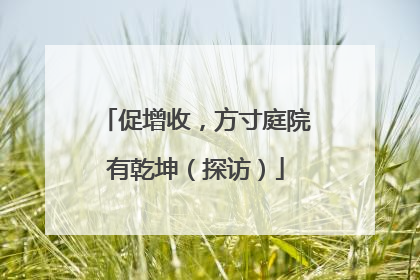 促增收，方寸庭院有乾坤（探访）