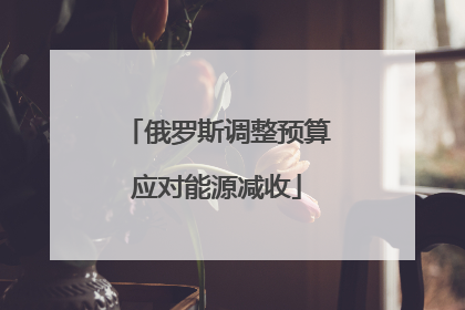 俄罗斯调整预算应对能源减收