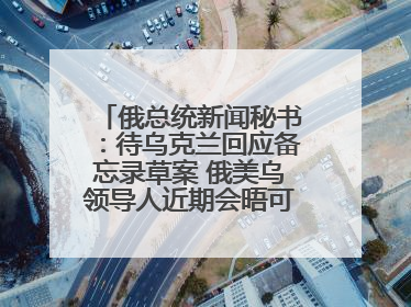 俄总统新闻秘书：待乌克兰回应备忘录草案 俄美乌领导人近期会晤可能性小