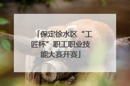 保定徐水区“工匠杯”职工职业技能大赛开赛