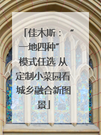佳木斯：“一地四种” 模式任选 从定制小菜园看城乡融合新图景