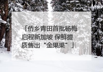 侨乡青田首批杨梅启程新加坡 保鲜提质售出“金果果”