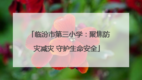 临汾市第三小学：聚焦防灾减灾 守护生命安全