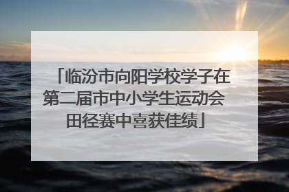 临汾市向阳学校学子在第二届市中小学生运动会田径赛中喜获佳绩