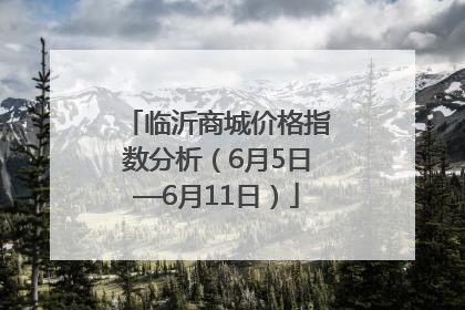 临沂商城价格指数分析（6月5日—6月11日）
