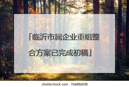 临沂市属企业重组整合方案已完成初稿