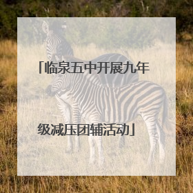 临泉五中开展九年级减压团辅活动