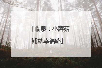 临泉：小蘑菇铺就幸福路