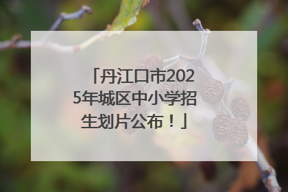 丹江口市2025年城区中小学招生划片公布！