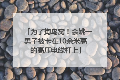 为了掏鸟窝！余姚一男子被卡在10余米高的高压电线杆上