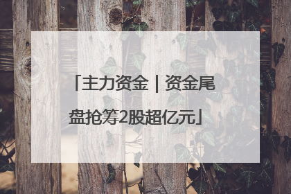 主力资金｜资金尾盘抢筹2股超亿元