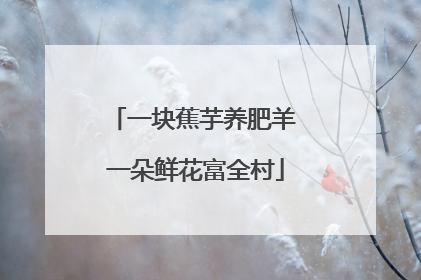 一块蕉芋养肥羊 一朵鲜花富全村