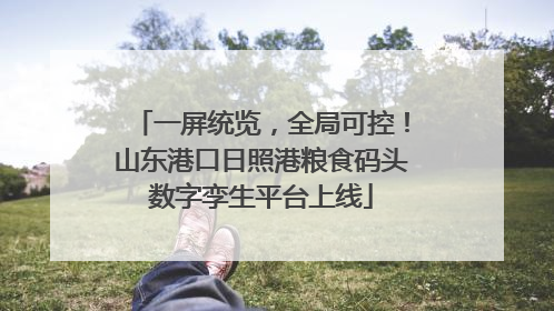 一屏统览，全局可控！山东港口日照港粮食码头数字孪生平台上线