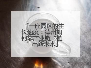 一座园区的生长速度：德州如何靠产业链“链”出新未来