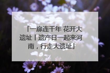 一廊连千年 花开大遗址丨遗产日一起来河南，行走大遗址