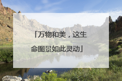 万物和美，这生命图景如此灵动