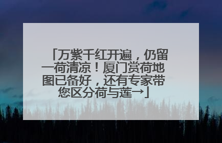 万紫千红开遍，仍留一荷清凉！厦门赏荷地图已备好，还有专家带您区分荷与莲→