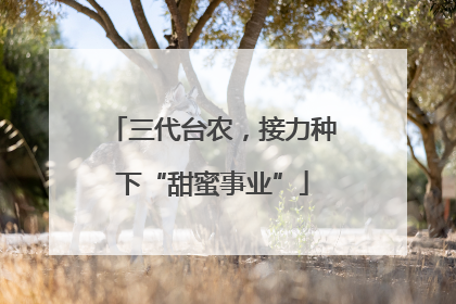 三代台农，接力种下“甜蜜事业”