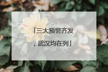 三大预警齐发，武汉均在列