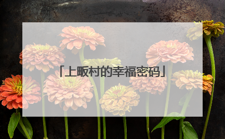 上畈村的幸福密码