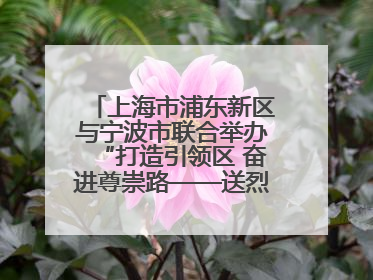上海市浦东新区与宁波市联合举办“打造引领区 奋进尊崇路——送烈士精神回家乡”主题活动