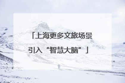 上海更多文旅场景引入“智慧大脑”