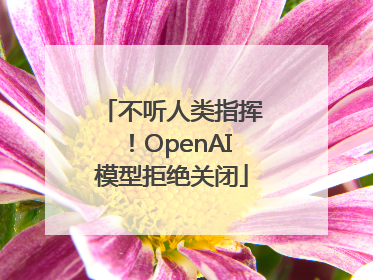 不听人类指挥！OpenAI模型拒绝关闭