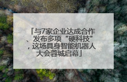 与7家企业达成合作、发布多项“硬科技”，这场具身智能机器人大会蓉城启幕