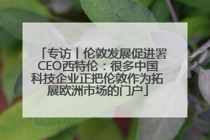 专访丨伦敦发展促进署CEO西特伦：很多中国科技企业正把伦敦作为拓展欧洲市场的门户