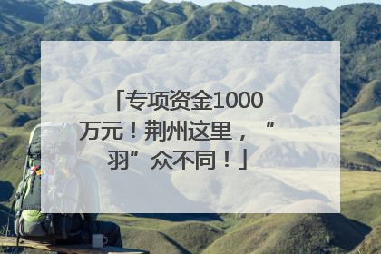 专项资金1000万元！荆州这里，“羽”众不同！