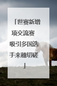 世赛新增项交流赛 吸引多国选手来穗切磋