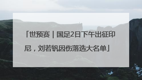 世预赛｜国足2日下午出征印尼，刘若钒因伤落选大名单