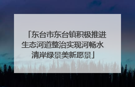 东台市东台镇积极推进生态河道整治实现河畅水清岸绿景美新愿景