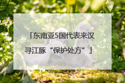 东南亚5国代表来汉寻江豚“保护处方”
