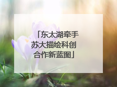 东太湖牵手苏大描绘科创合作新蓝图