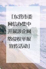 东营市委网信办集中开展涉企网络侵权举报宣传活动