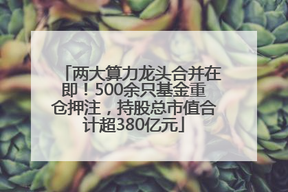 两大算力龙头合并在即！500余只基金重仓押注，持股总市值合计超380亿元