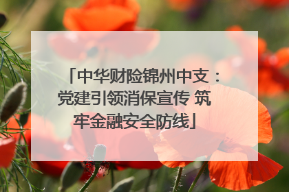 中华财险锦州中支：党建引领消保宣传 筑牢金融安全防线