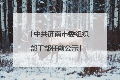 中共济南市委组织部干部任前公示