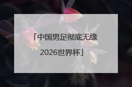 中国男足彻底无缘2026世界杯