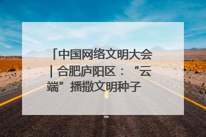 中国网络文明大会｜合肥庐阳区：“云端”播撒文明种子 共建清朗网络空间