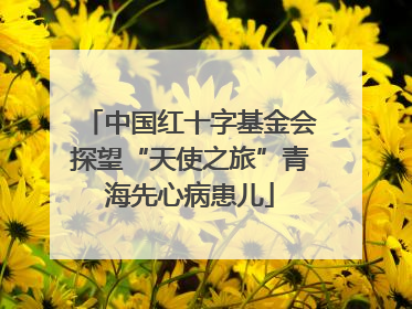 中国红十字基金会探望“天使之旅”青海先心病患儿