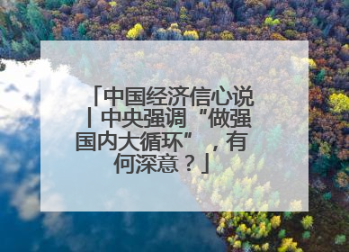 中国经济信心说丨中央强调“做强国内大循环”，有何深意？